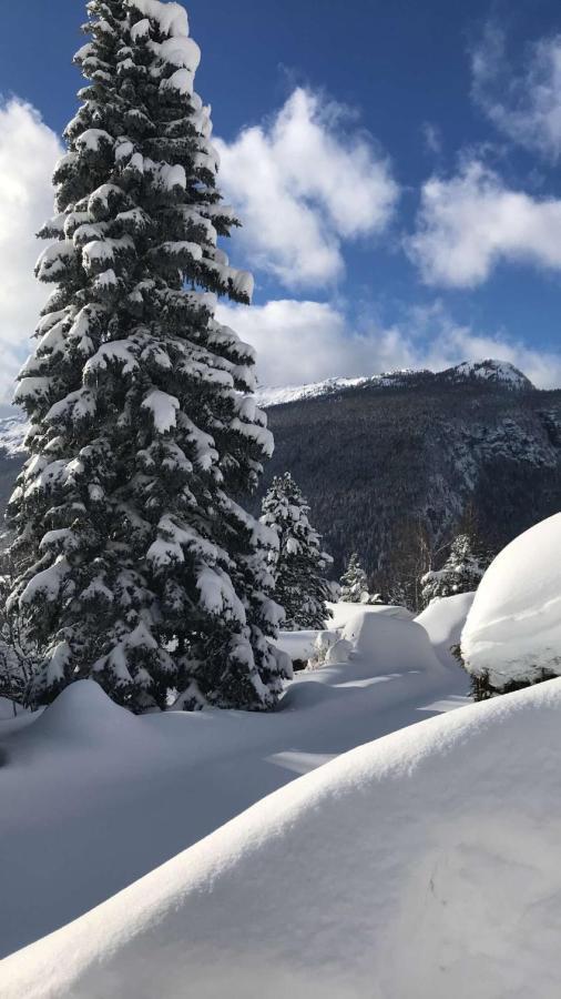 Hotel Et Spa Le Vermont ル・グラン・ボルナン エクステリア 写真